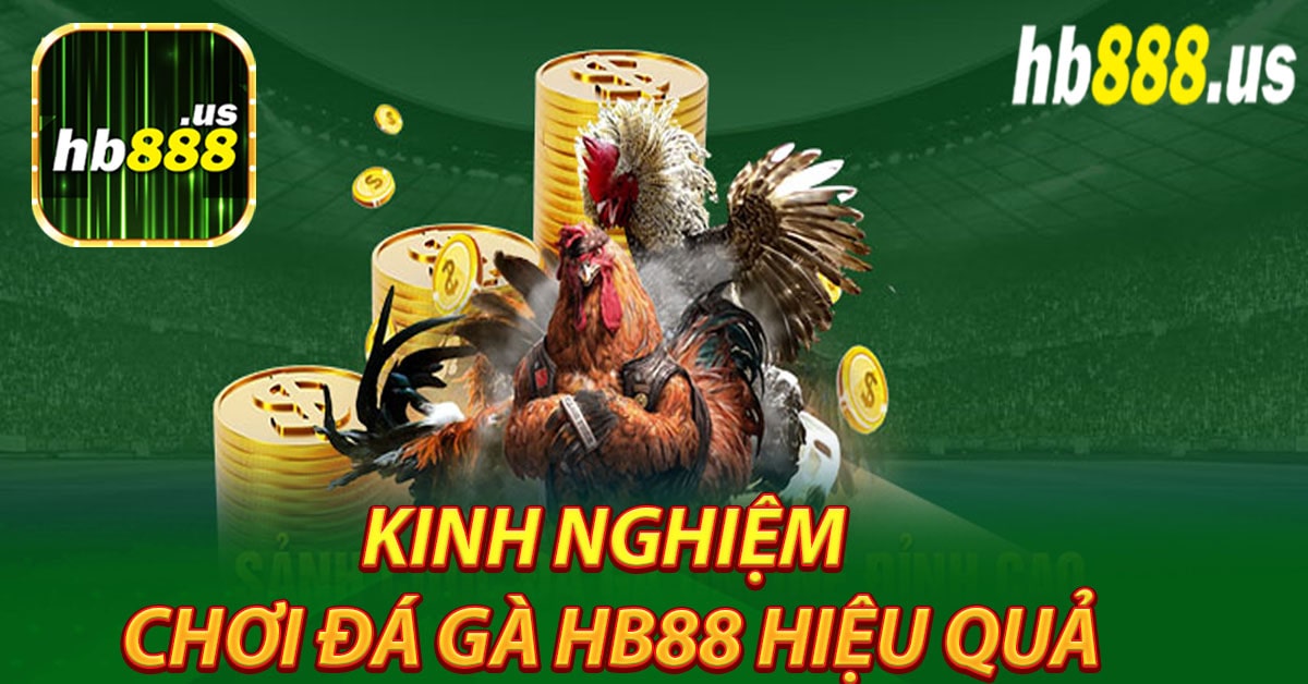 Kinh nghiệm chơi đá gà Hb88 hiệu quả
