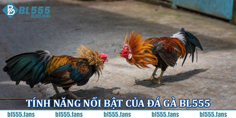 Tính năng nổi bật của đá gà BL555