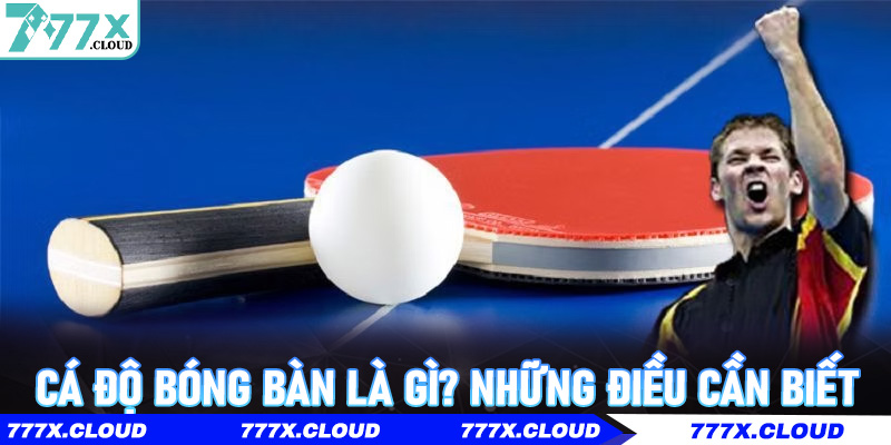 Cá Độ Bóng Bàn là gì? Những điều cần biết