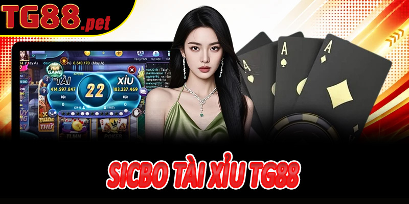 sicbo tài xỉu Tg88